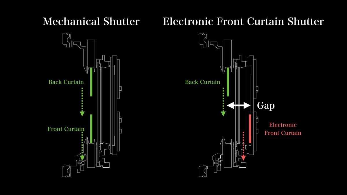 Diagram comparing mechanical shutter and electronic front curtain shutter in cameras, with labeled components demonstrating differences in curtain mechanism and movement, featuring arrows and a noticeable gap in the electronic version.