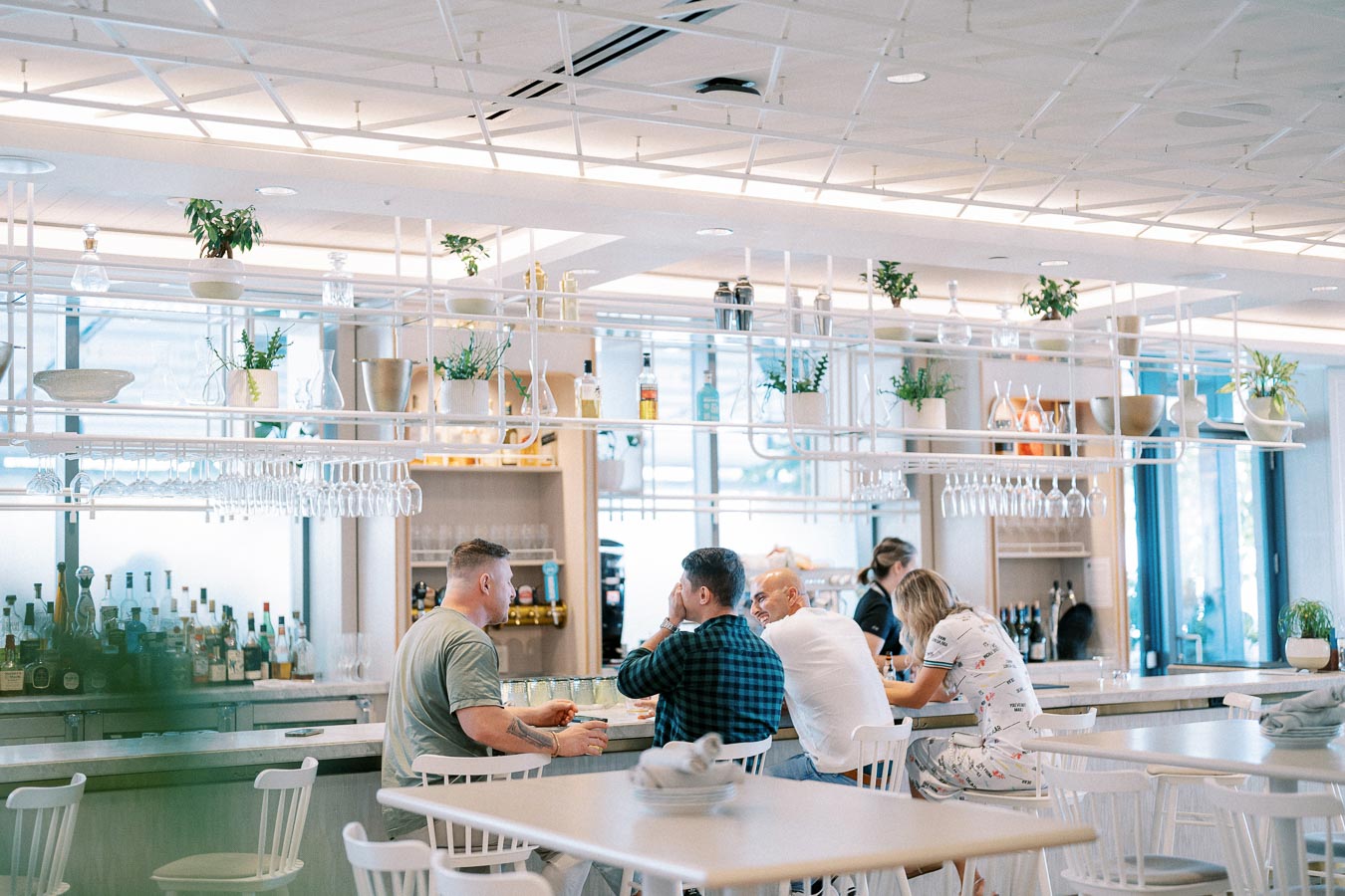 Bright modern bar interior with people socializing around a counter, surrounded by elegant shelves with plants and hanging glasses, creating a welcoming atmosphere.