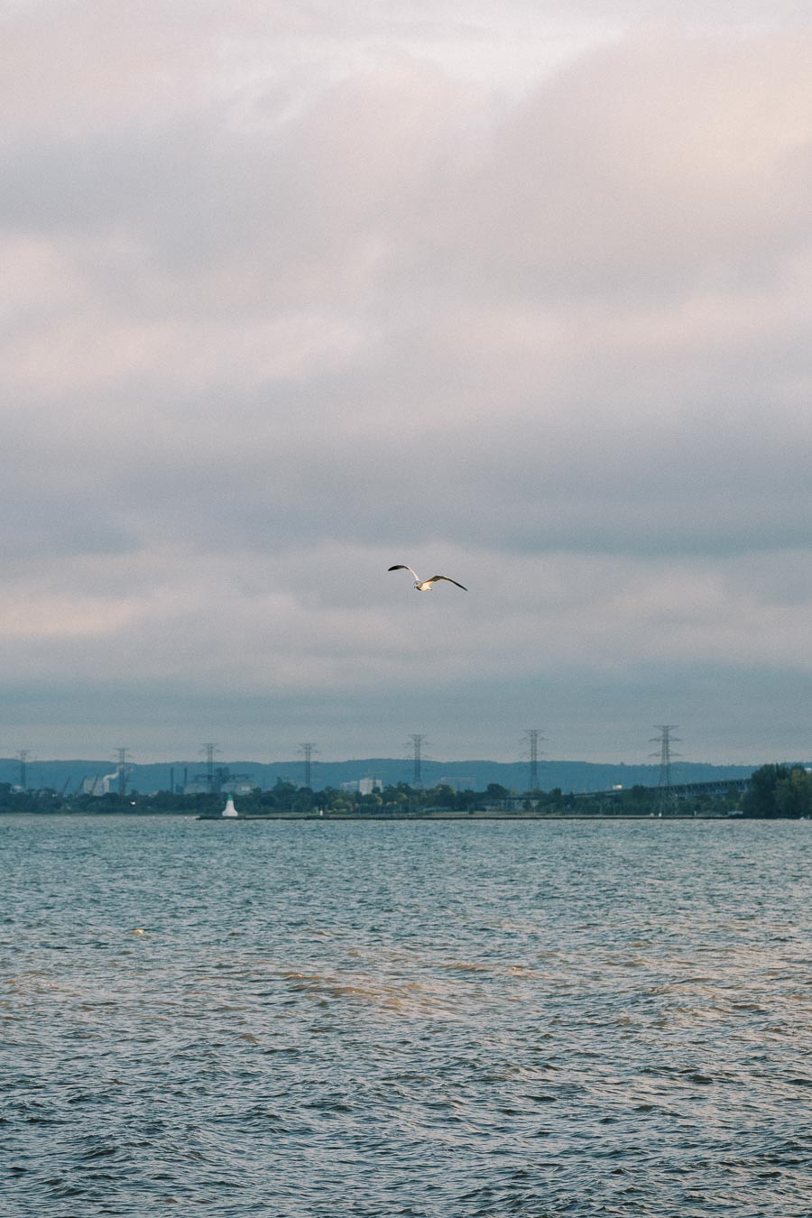 A seagull gracefully flying over a calm lake with distant power lines and lush green hills under a cloudy sky.