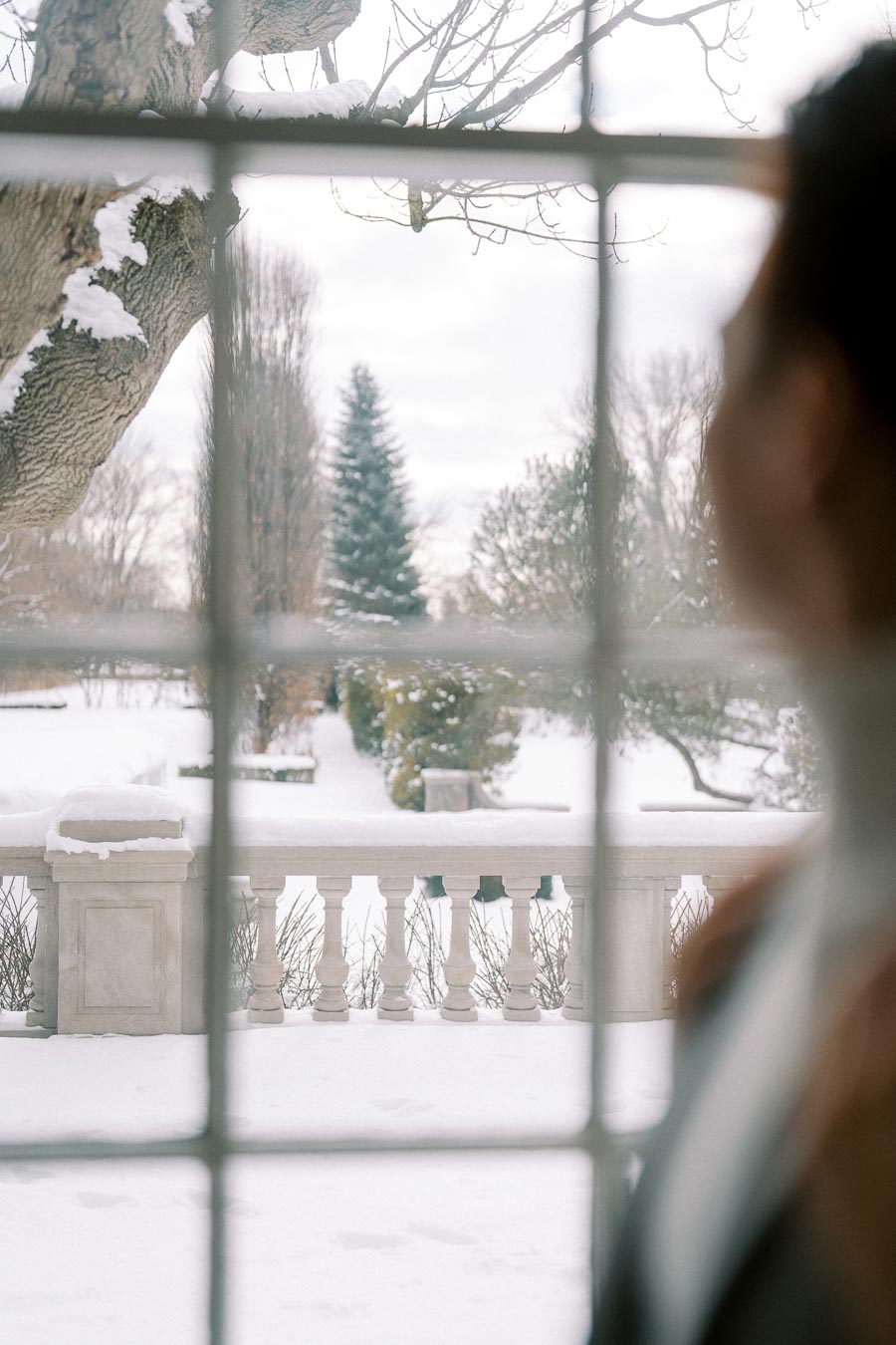 A person gazes out a window onto a serene snow-covered landscape, featuring a large tree with snow-laden branches and a distant evergreen, evoking a peaceful winter morning scene.