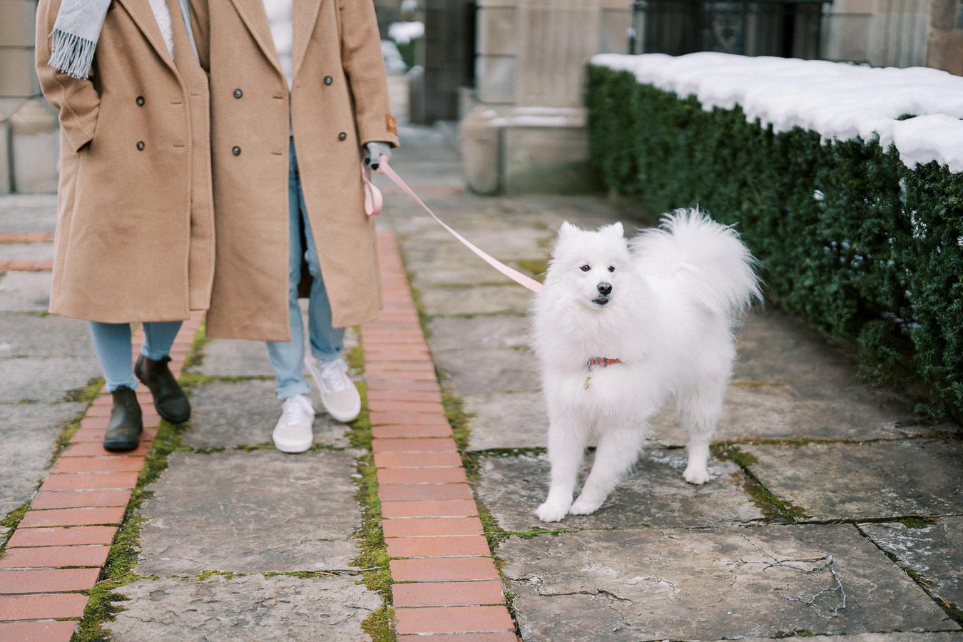 Two people walking a fluffy white dog on a leash in a winter cityscape, wearing tan coats and jeans, along a pathway lined with snow-covered greenery.