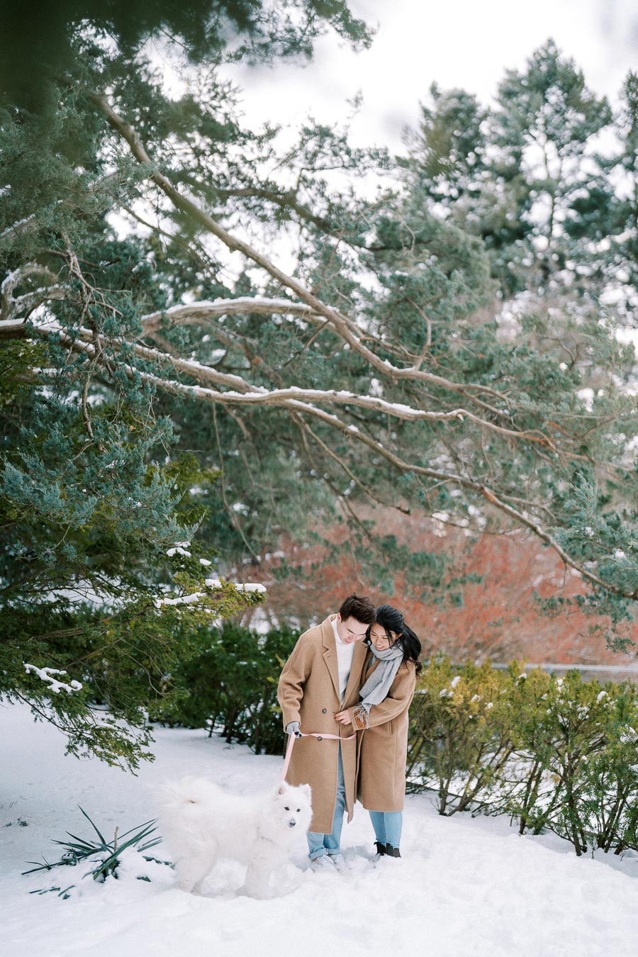 A couple wearing matching brown coats and scarves walking their fluffy white dog in a snowy forest setting, surrounded by evergreen trees and snow-covered branches.