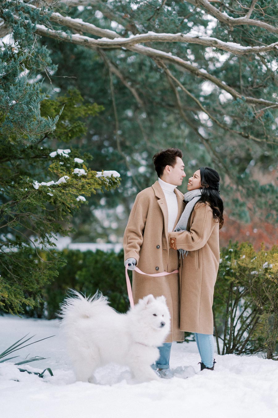 A couple in matching brown coats stands affectionately in a snowy park, holding a leash for their fluffy white dog. The scene is framed by evergreen trees, capturing a serene winter moment.
