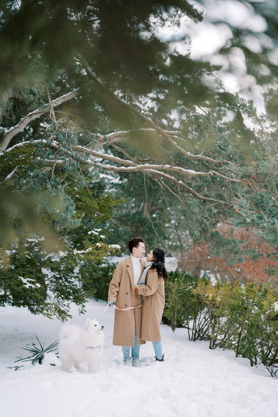 A couple in matching brown coats embraces in a snowy winter forest, with a fluffy white dog on a leash standing nearby.