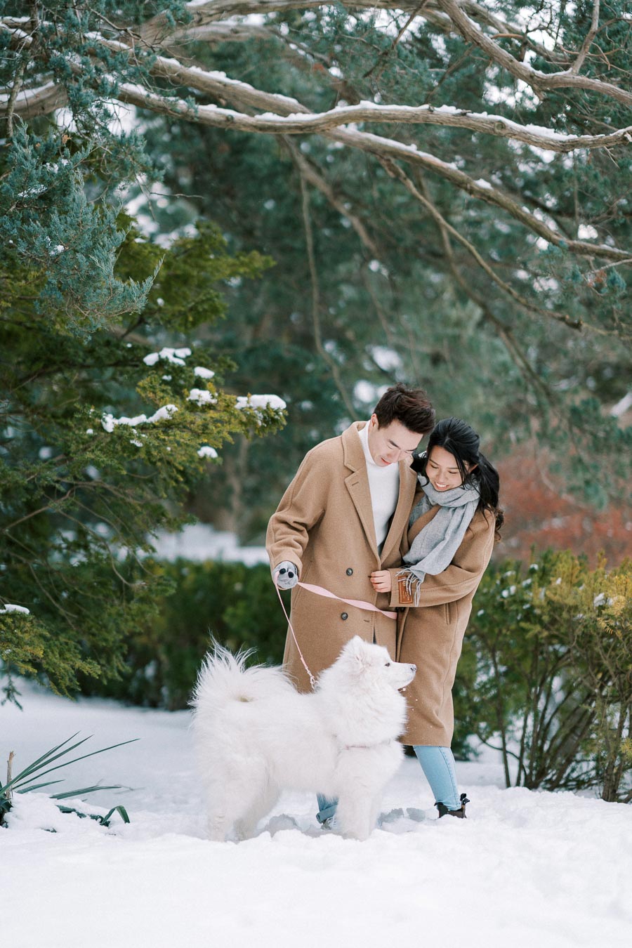 A couple in matching brown coats walking a fluffy white dog through a snowy park, surrounded by green pine trees.