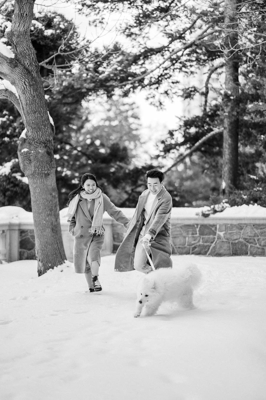 A couple joyfully playing in the snow with their fluffy dog, surrounded by winter trees and a stone wall.