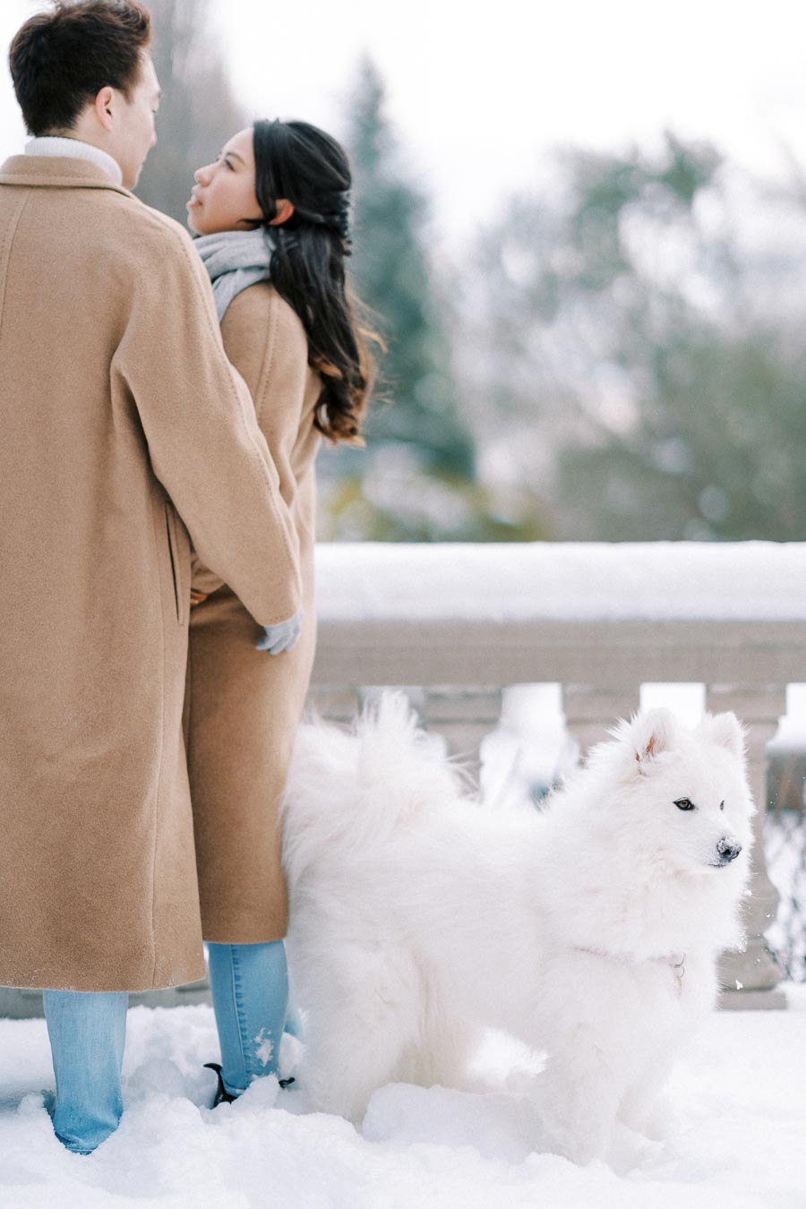 Couple in winter coats embracing in a snowy landscape with a fluffy white Samoyed dog standing nearby.