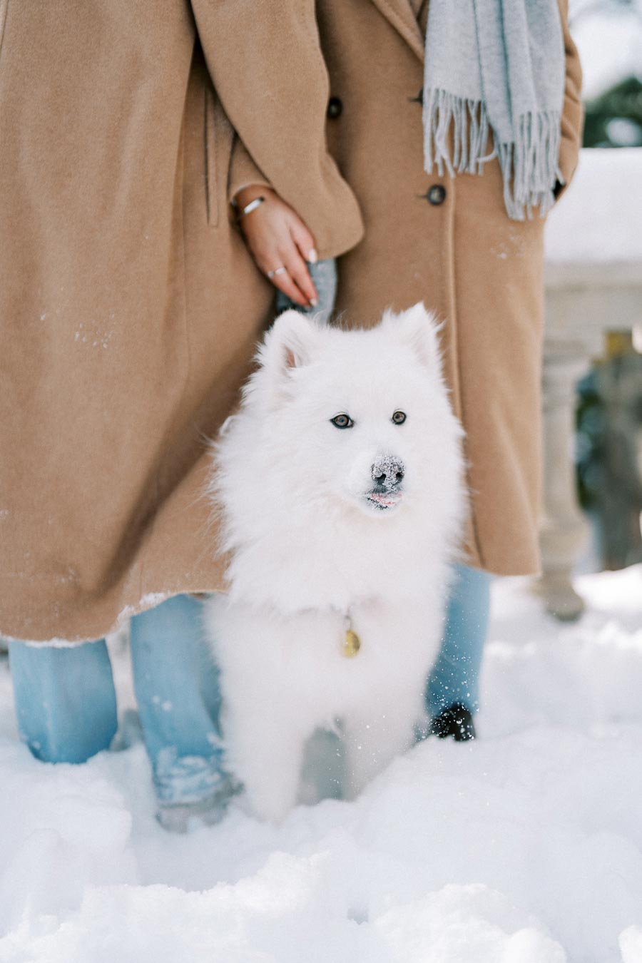 Two people wearing brown coats and a white fluffy dog playing in the snow.