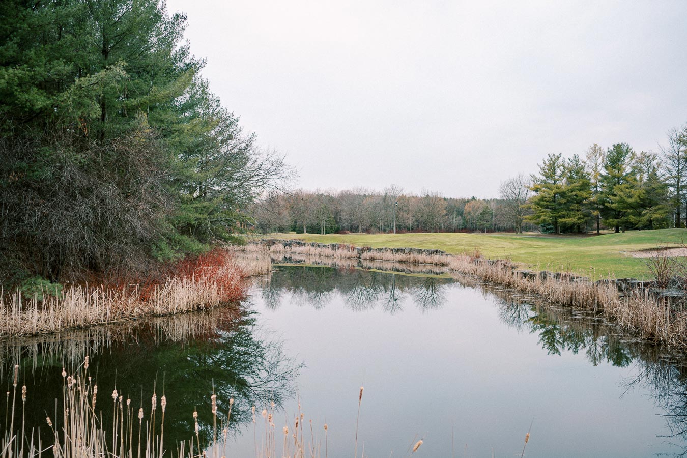 Scenic view of a tranquil pond surrounded by lush trees and grasses, reflecting the natural landscape on a calm, overcast day.