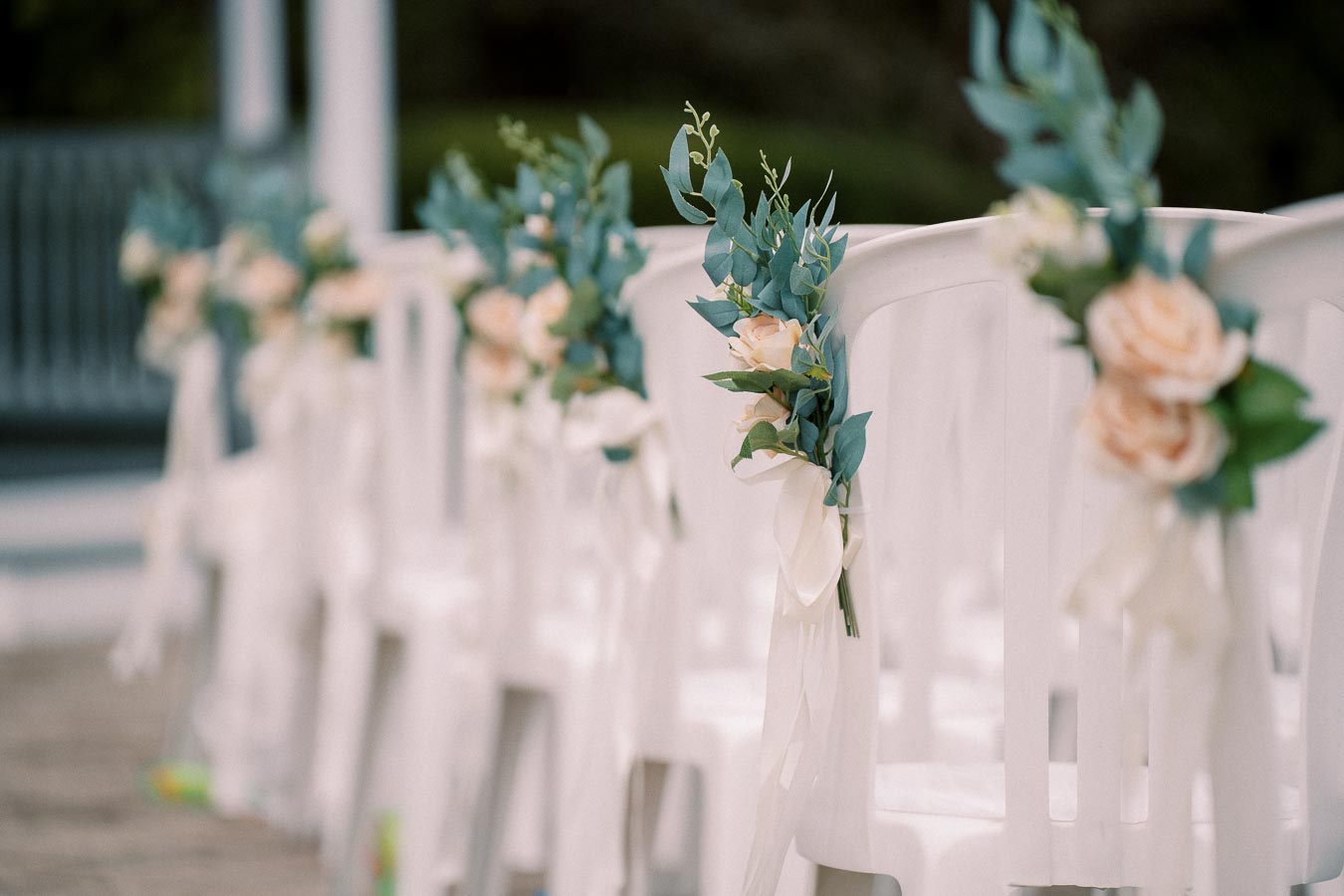 Rows of white chairs decorated with peach roses and green eucalyptus leaves, set up for an outdoor wedding ceremony.