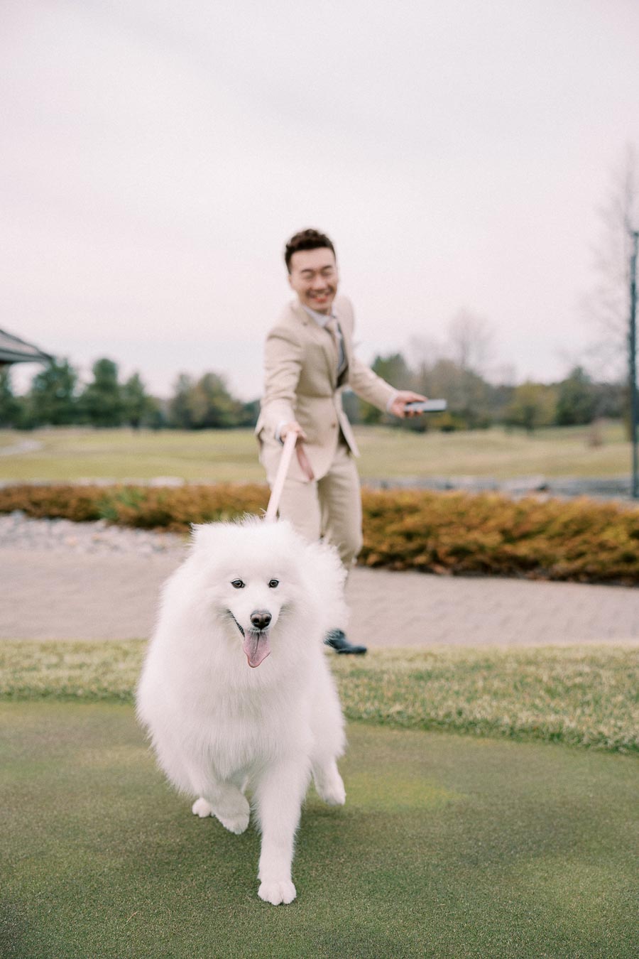 A joyful white fluffy dog on a leash happily runs on green grass, with a man in a beige suit smiling in the background at a park.
