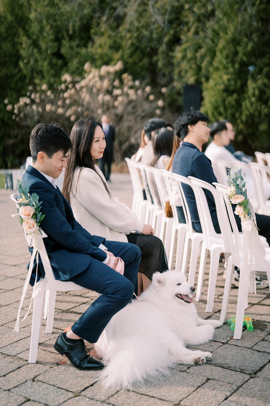 Outdoor wedding guests sitting on white chairs with floral decorations, featuring a couple seated with a fluffy white dog resting at their feet, surrounded by greenery in a garden setting.