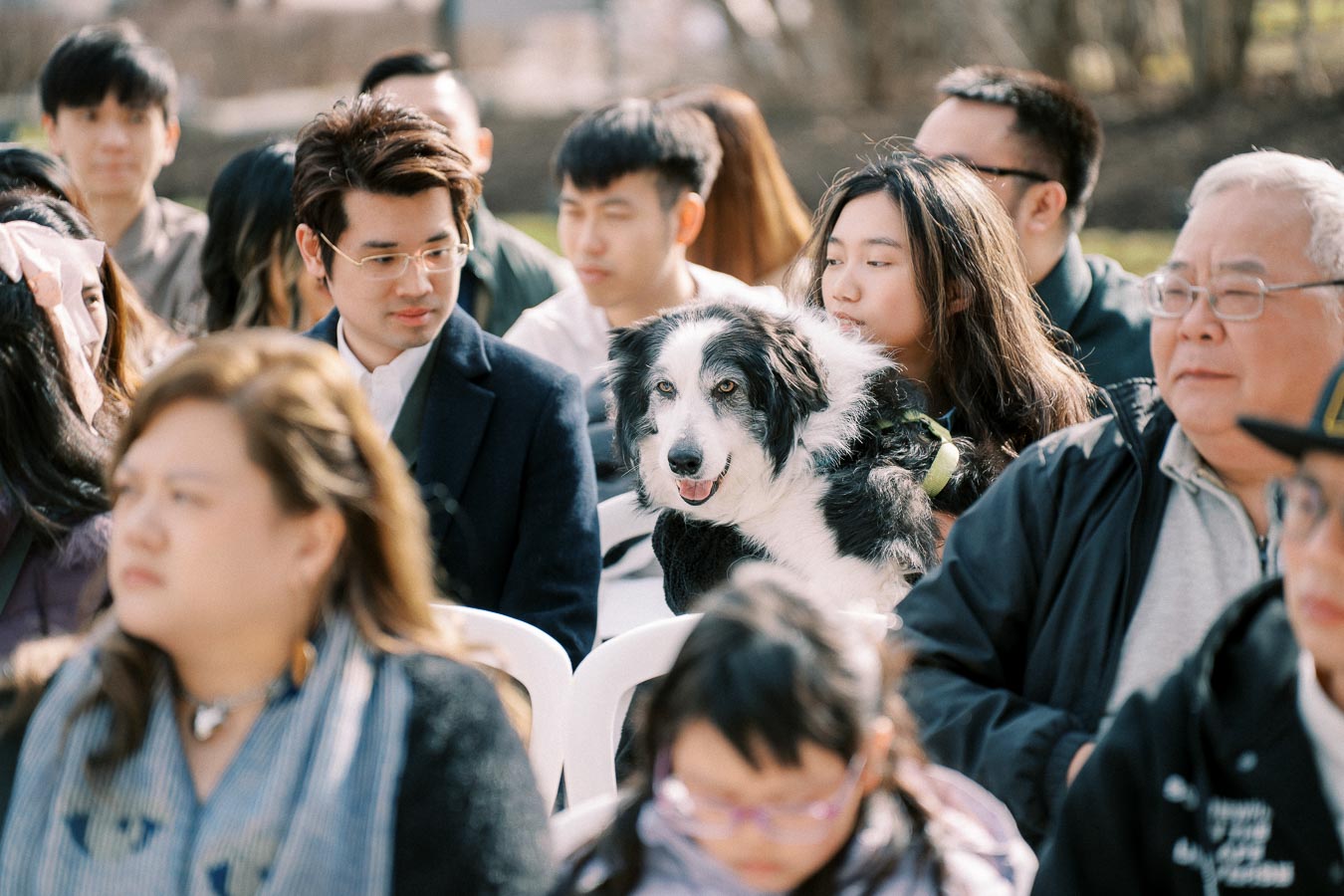 A crowd of diverse people seated outdoors with a black and white dog among them, capturing a joyful and inclusive gathering atmosphere.