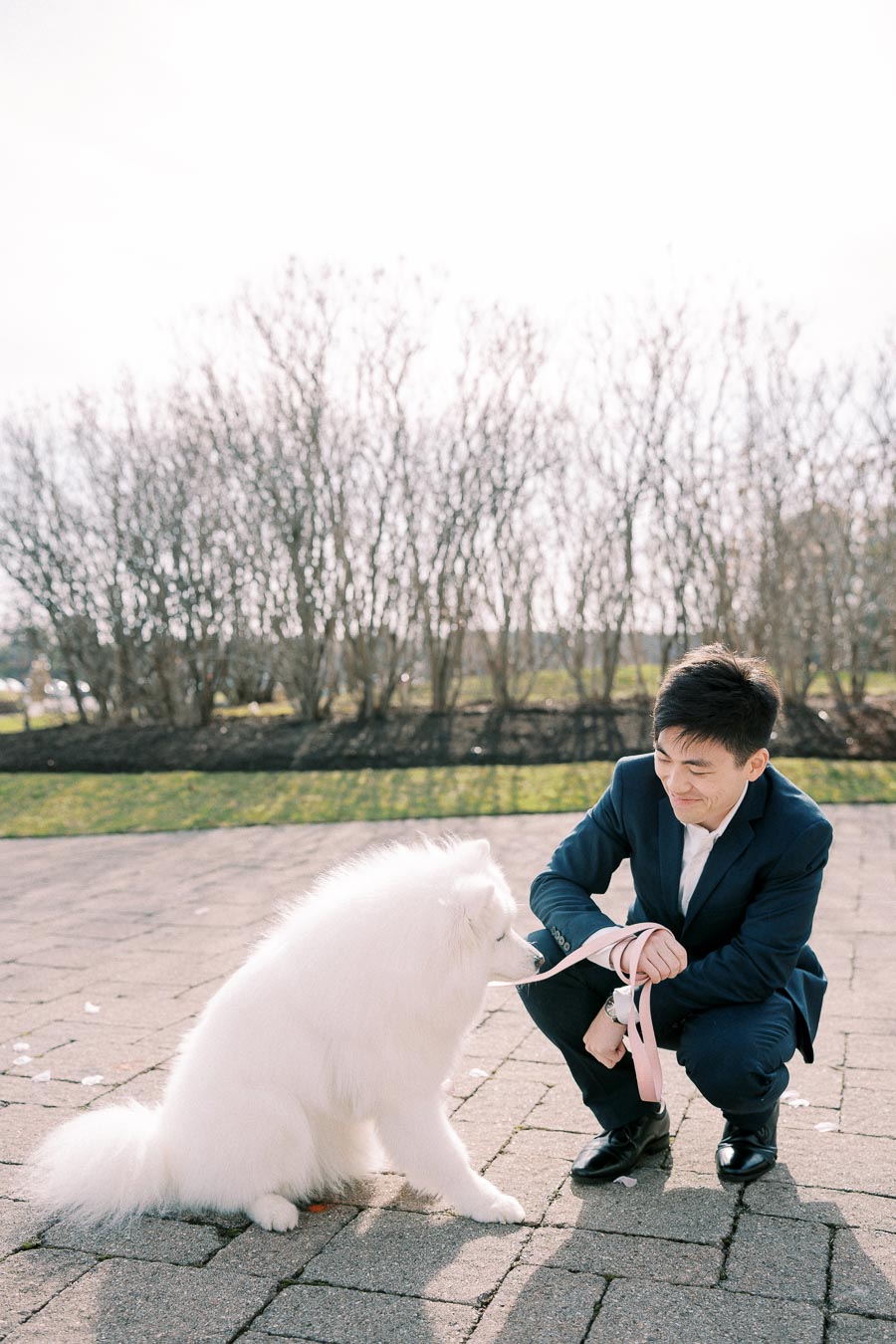 A man in a blue suit kneels on a sunlit pavement, playfully interacting with a fluffy white dog holding a pink leash, with bare trees and grass in the background.