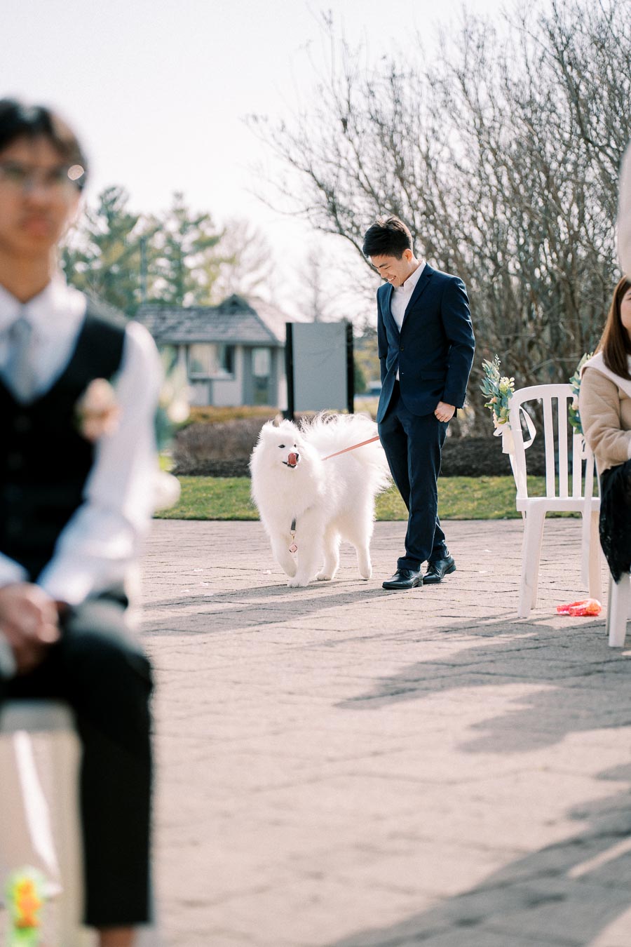 A man in a blue suit walks a fluffy white dog down an outdoor aisle during a sunny wedding ceremony. The scene includes chairs and guests in formal attire, with a focus on the joyful atmosphere.