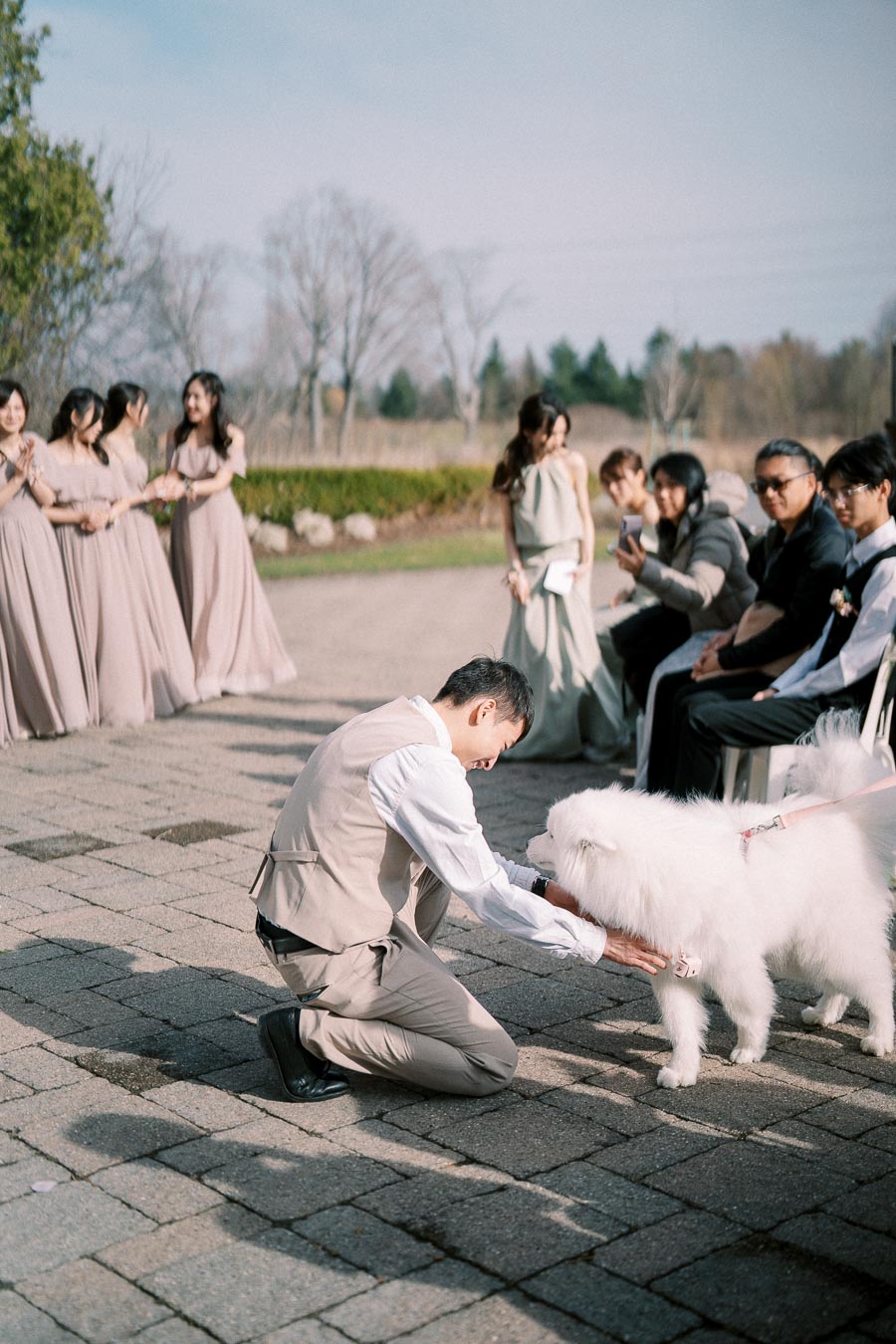 Groom in a beige suit kneeling to pet a fluffy white dog during an outdoor wedding ceremony, with bridesmaids in matching dresses standing in the background.