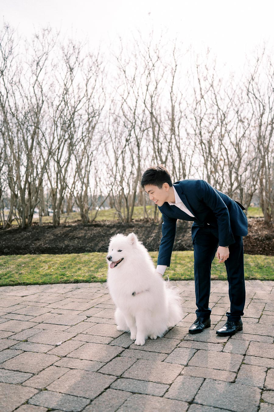 Man in a suit petting a fluffy white Samoyed dog on a paved walkway with leafless trees in the background.
