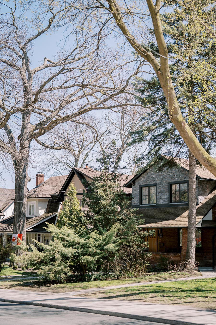 A picturesque suburban street featuring charming two-story houses, surrounded by large trees and lush greenery, under a clear blue sky.