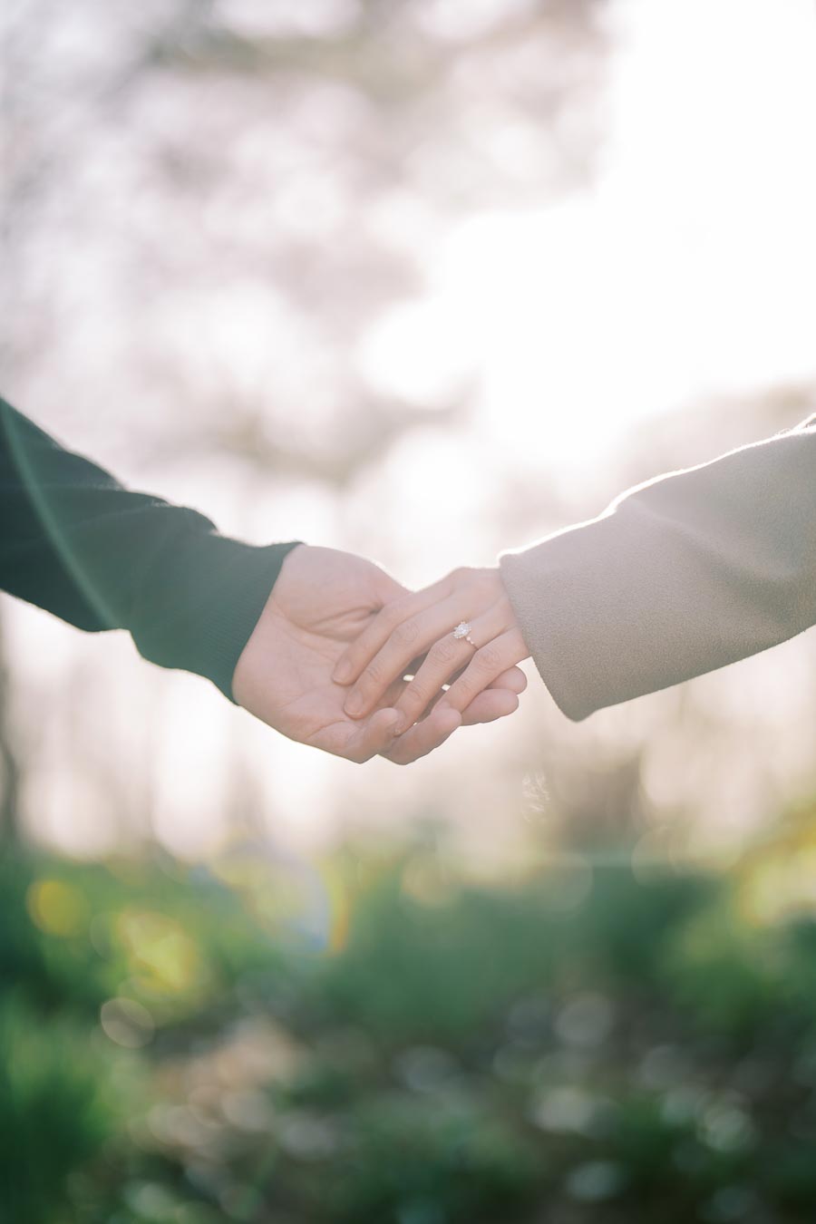 A romantic moment captured as two people hold hands, with one wearing a ring, against a softly blurred natural backdrop.