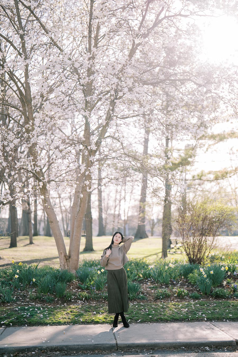 A woman poses gracefully under a blooming cherry blossom tree in a sunlit park, surrounded by lush greenery and daffodils.