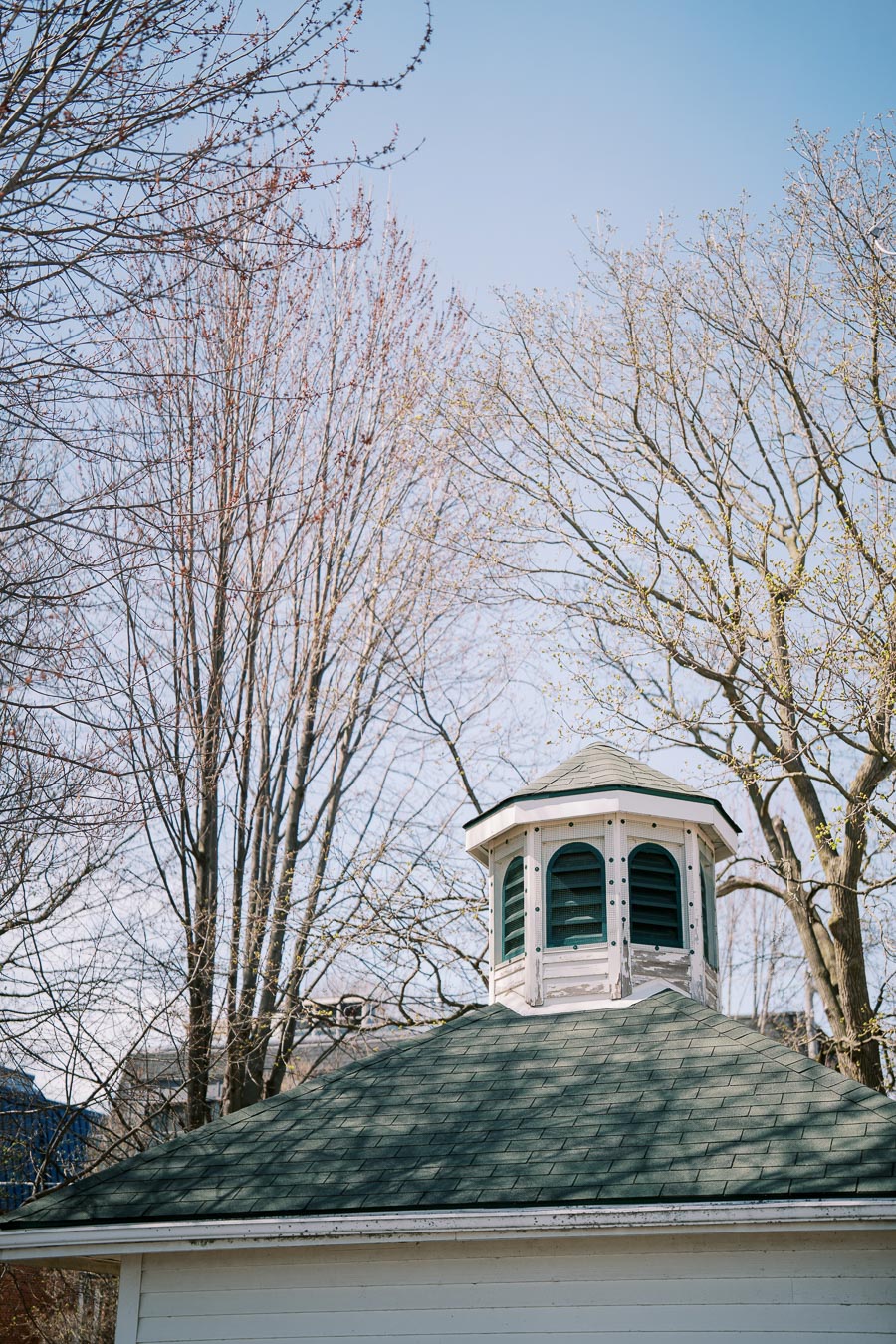 A quaint white cupola with green shutters sits atop a building, framed by bare trees and a clear blue sky.
