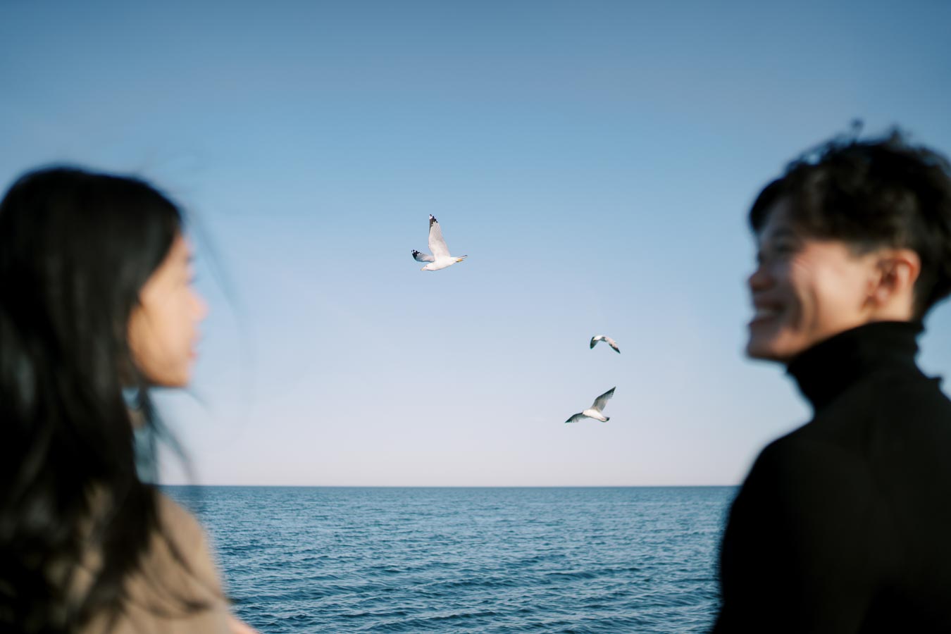 A couple enjoys a serene moment by the sea as seagulls soar in the clear blue sky.