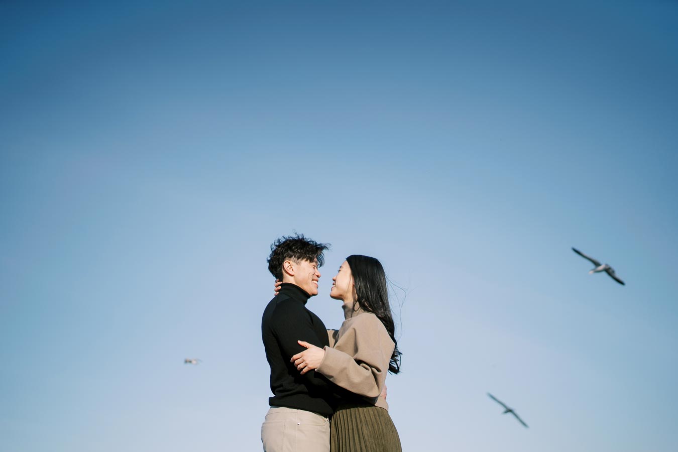 A couple embraces under a clear blue sky, with seagulls soaring in the background, creating a serene and romantic scene.