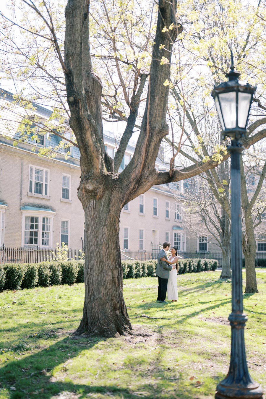 Couple embracing under a large tree in a quiet Toronto courtyard on a sunny spring day