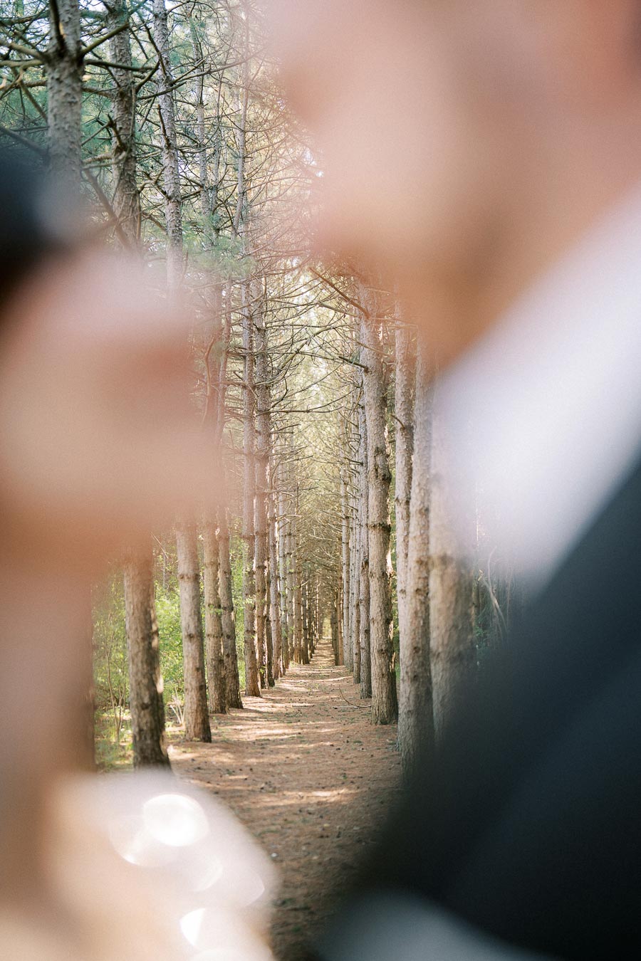 Blurred foreground of two people in a forest, with a clear view of a pathway lined by tall trees under soft sunlight.