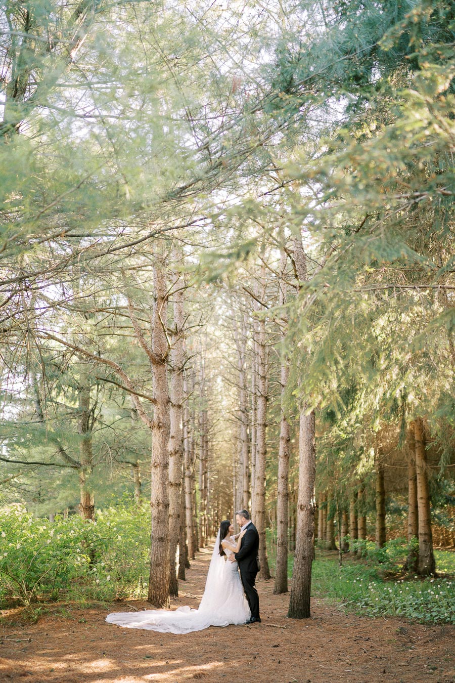 Romantic bride and groom embrace in a sunlit forest aisle of tall, green trees on their wedding day.
