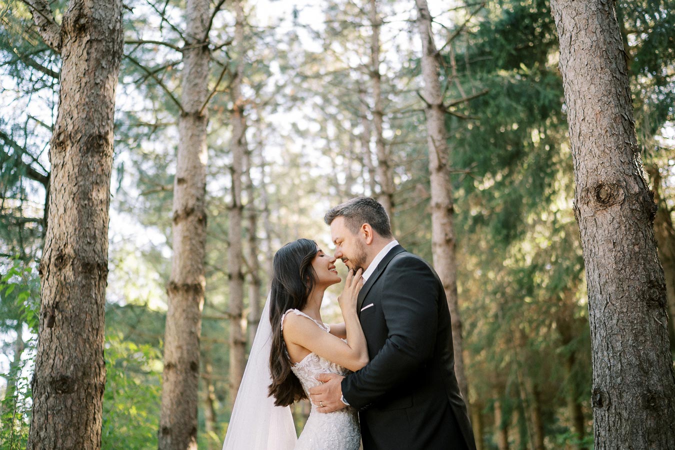 Romantic wedding couple embracing in a sunlit forest, with the bride in a white gown and veil and the groom in a black suit, surrounded by tall trees.