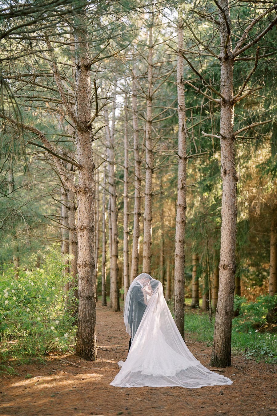 A bride and groom embrace under a long, flowing veil in a serene forest setting, surrounded by tall pine trees, capturing a romantic and intimate moment in nature.