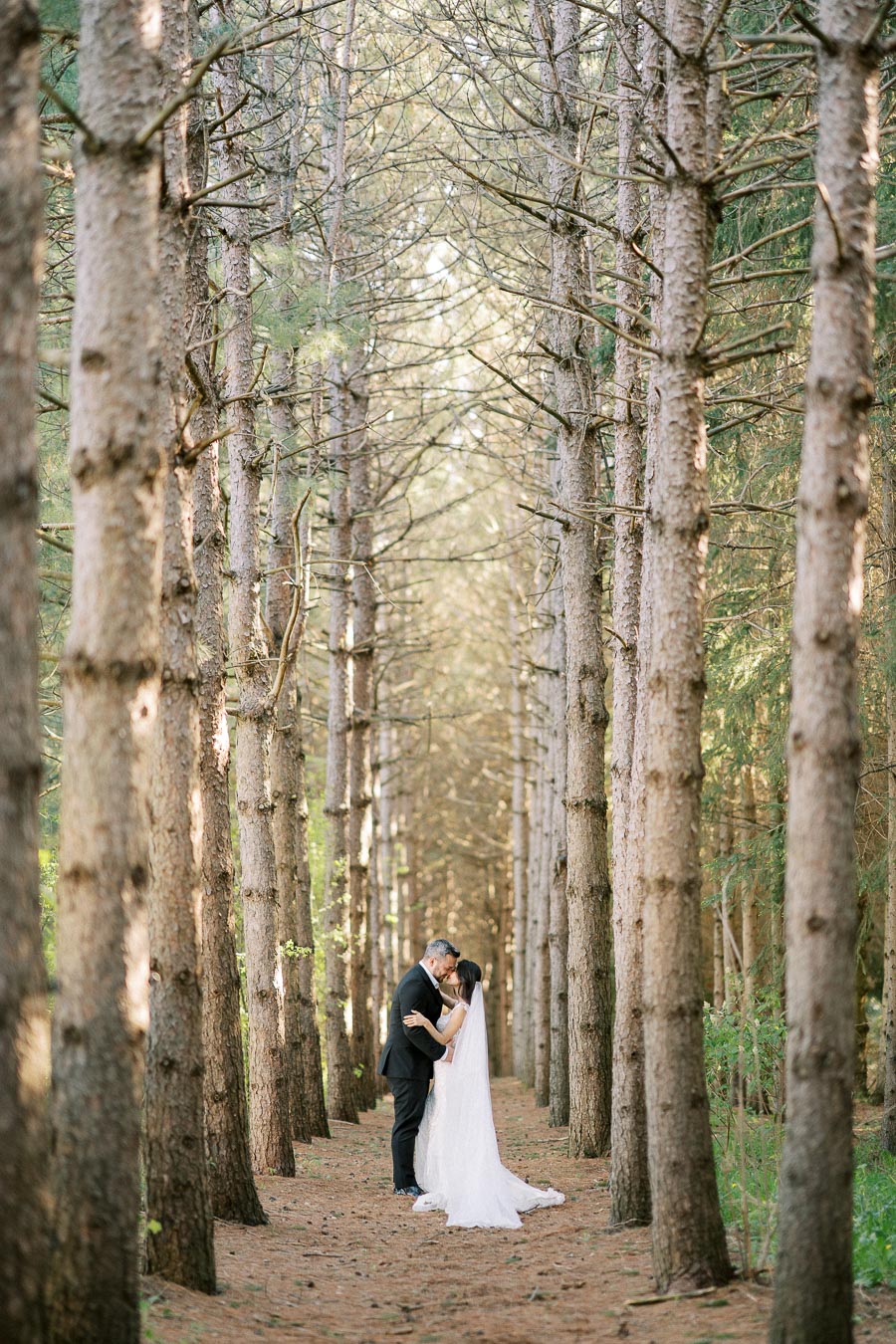 A bride and groom embracing in a serene forest setting surrounded by tall trees, creating a romantic and intimate atmosphere.
