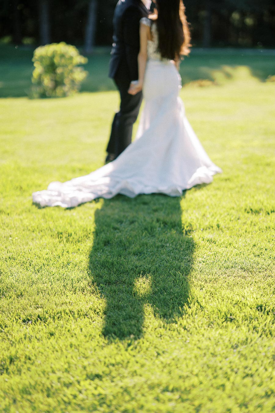 A bride and groom standing in a sunlit garden, casting a romantic shadow on the lush green grass, captured in soft focus during their outdoor wedding ceremony.