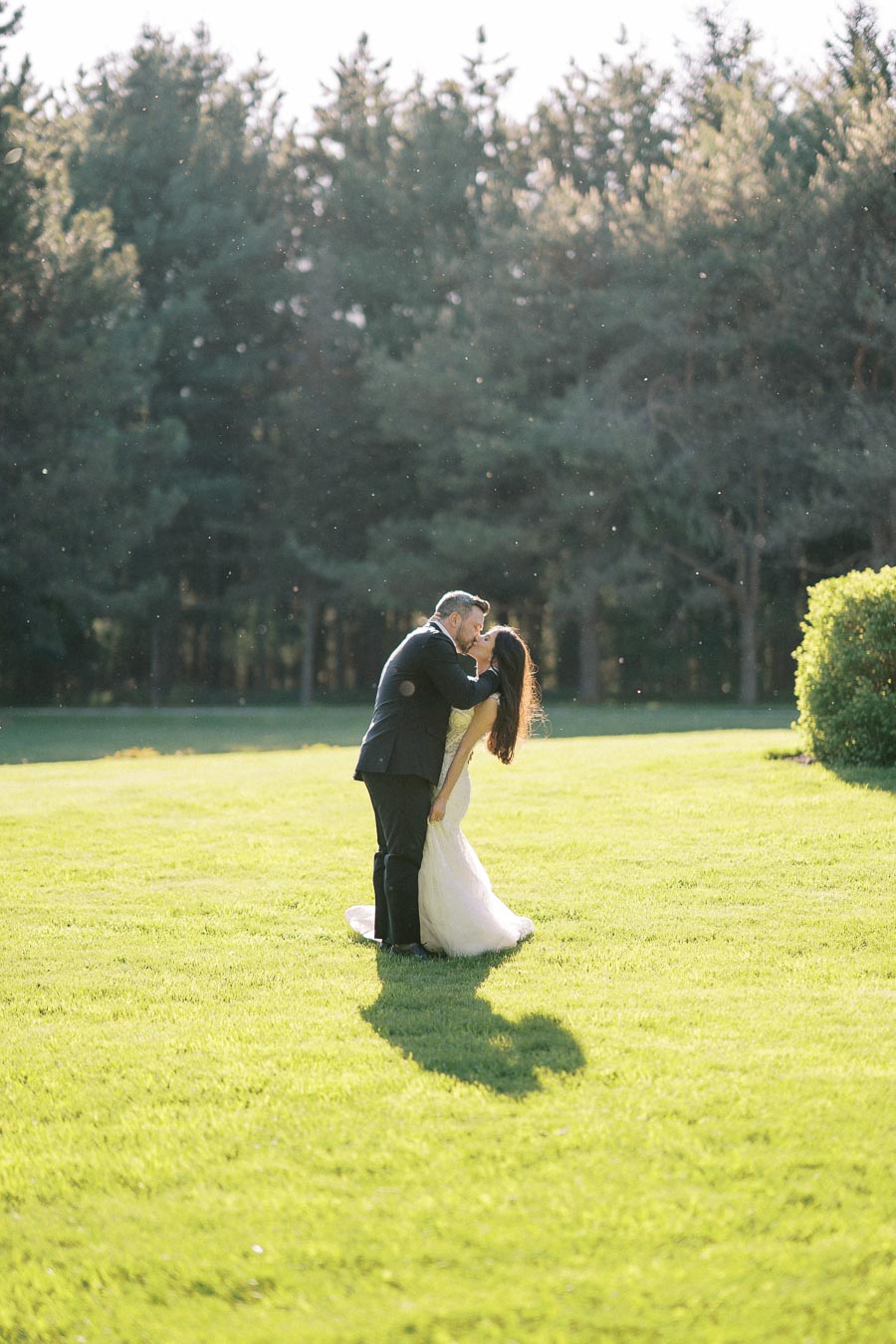 Couple sharing a romantic kiss in sunlit meadow with lush greenery and forest backdrop