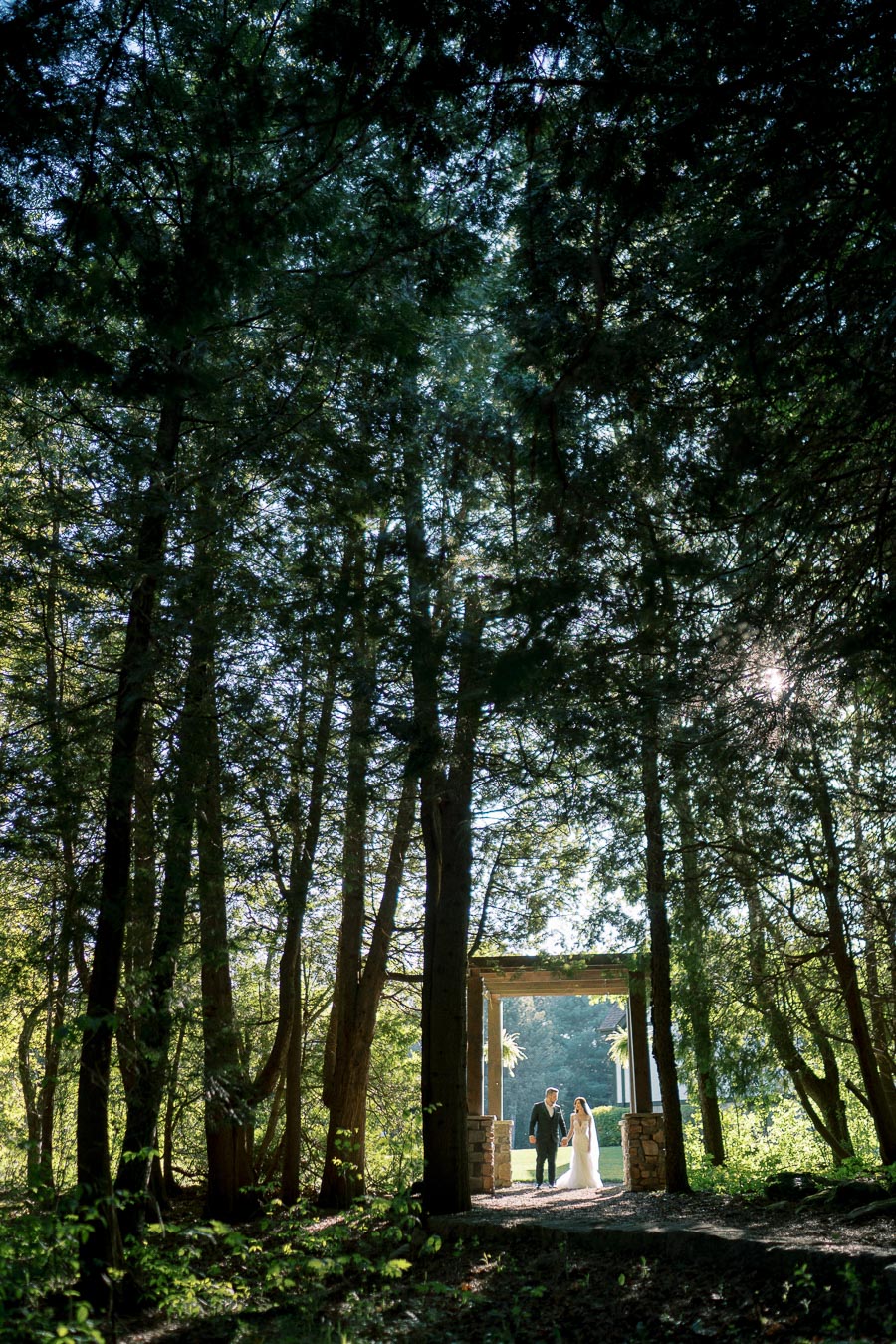 Bride and groom walking through a forest canopy under a wooden archway, surrounded by sunlight filtering through tall trees, creating a serene and romantic atmosphere.