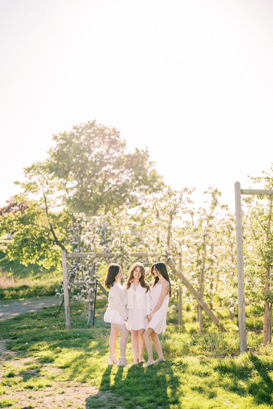 Three young women in white dresses standing in a sunlit orchard, surrounded by blossoming trees, conveying a sense of spring and friendship.