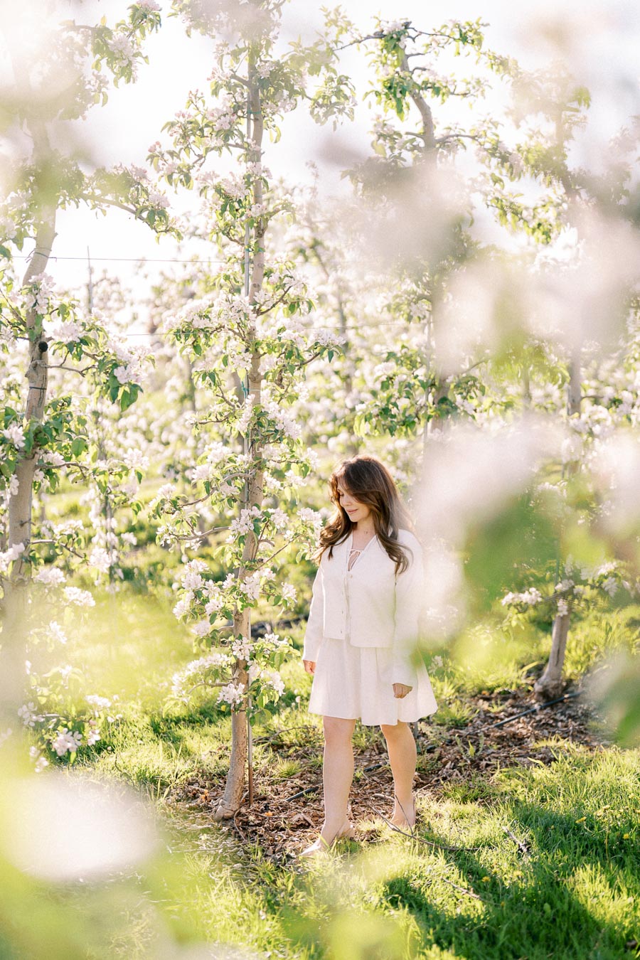 A woman in a white dress standing among blooming trees in a sunlit orchard, with soft light creating a serene and dreamy atmosphere.