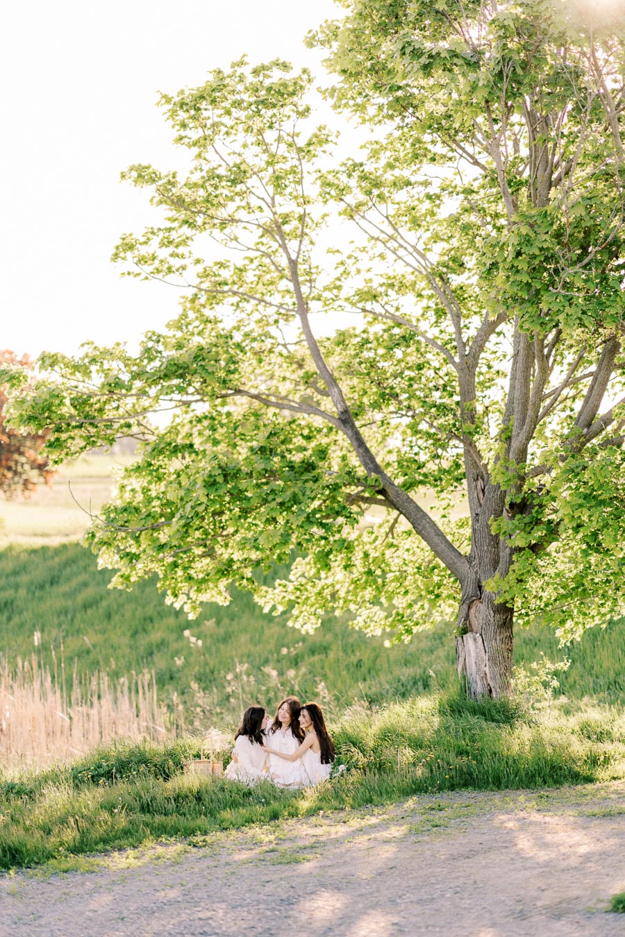 Three women enjoying a picnic under a large tree on a sunny day, surrounded by lush greenery and a peaceful outdoor setting.