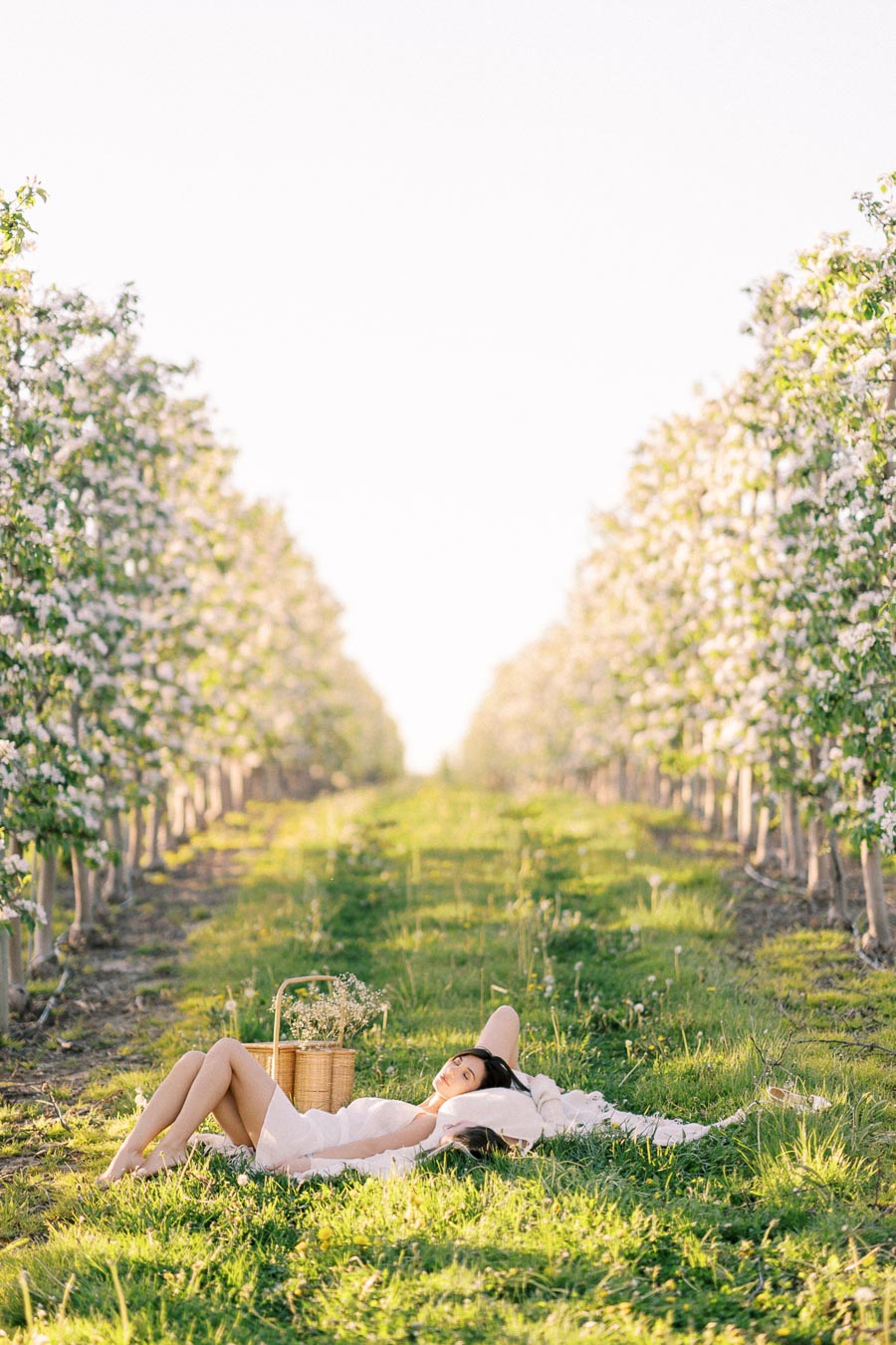 Person relaxing in a sunlit orchard surrounded by blossoming trees, lying on grass with a picnic basket and flowers.