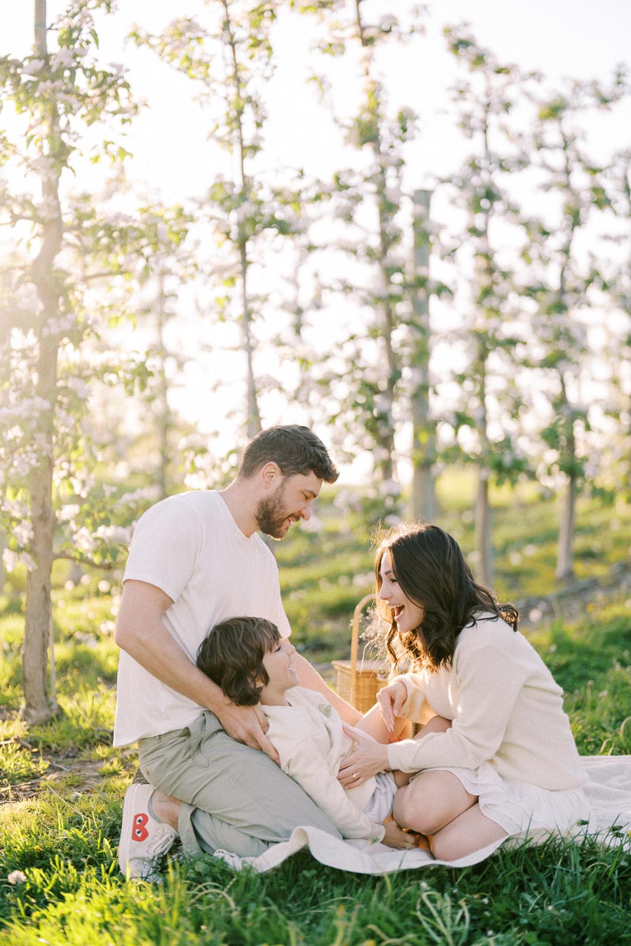 A family enjoying a picnic in a sunny orchard with blossoming trees, sitting on grass with a picnic basket and sharing a joyful moment.