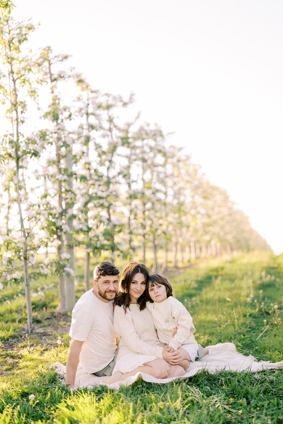 A family sitting on a blanket in an orchard on a sunny day, surrounded by rows of flowering trees.