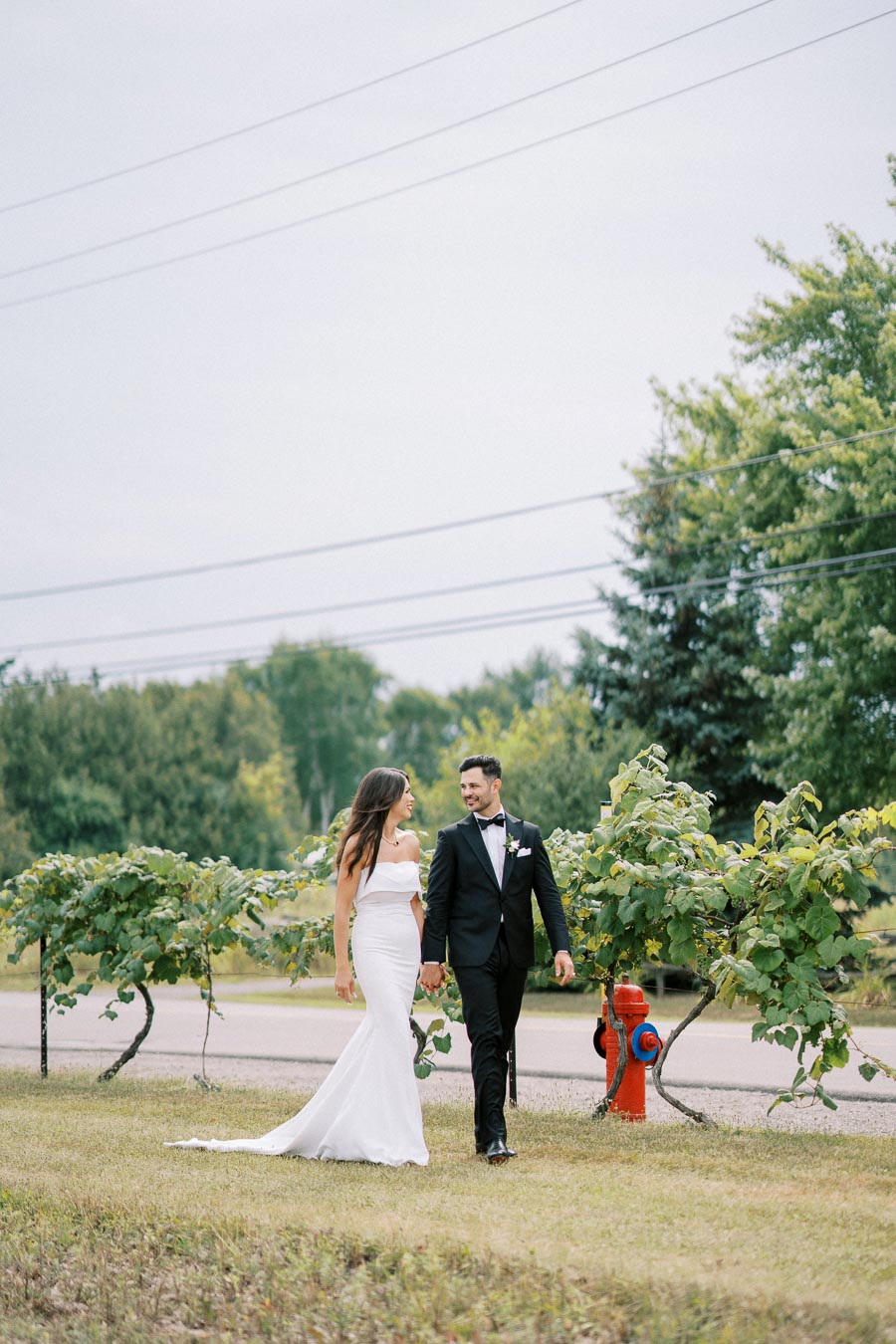 A bride in a white dress and groom in a black tuxedo walking hand in hand through a vineyard, against a backdrop of lush green foliage and clear skies.