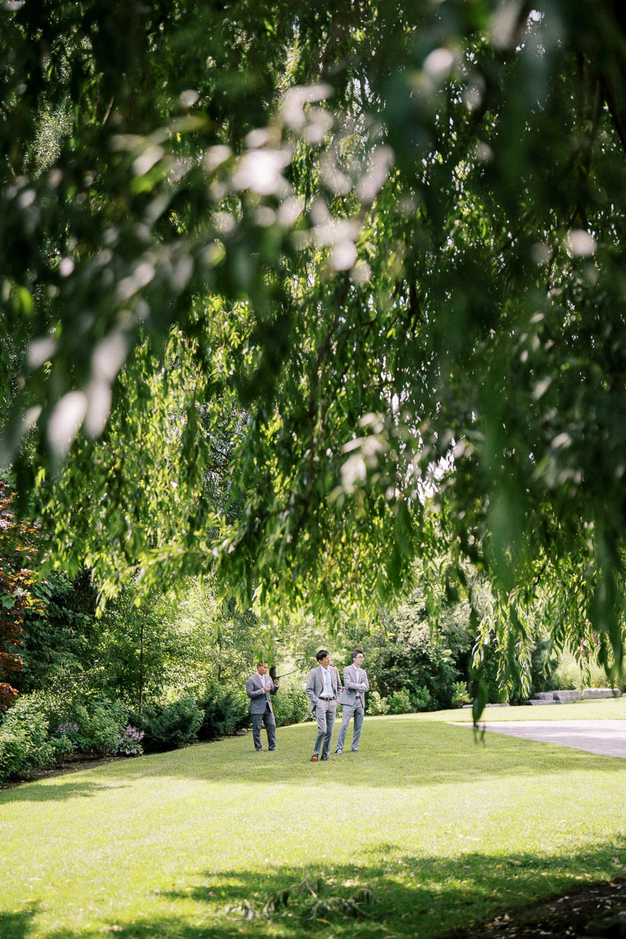Three men in suits walking on a lush green lawn under a canopy of hanging tree branches on a sunny day.