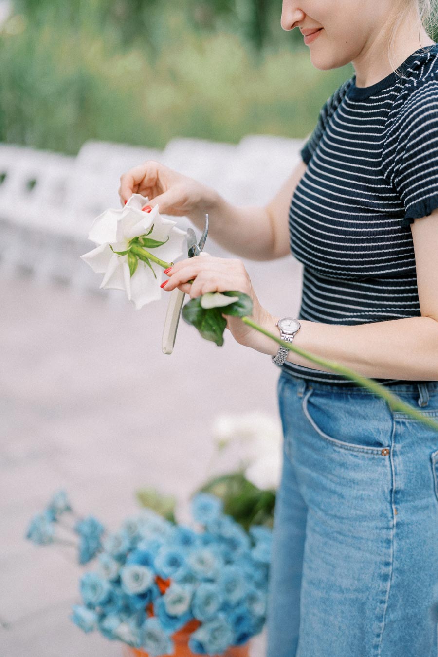 A woman in a striped shirt and jeans trimming white flowers with scissors, with a bucket of blue flowers in the background.