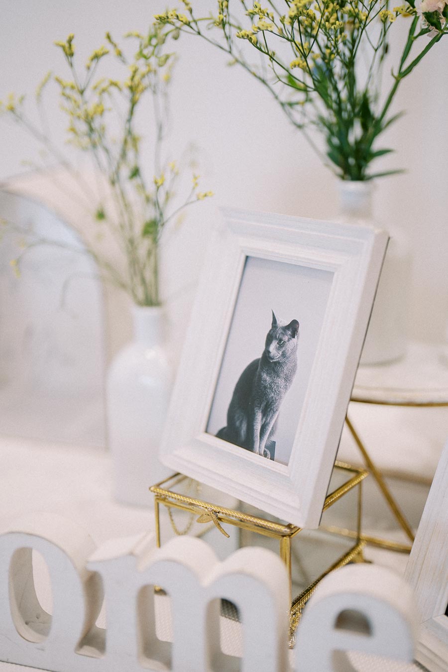 Framed black and white photo of a cat on a decorative table with white vases and delicate flowers.