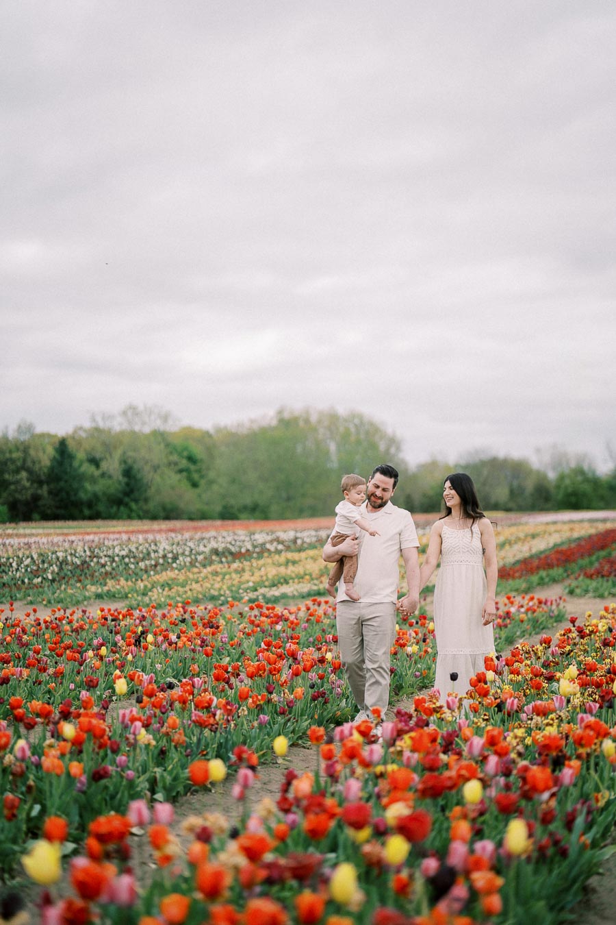 A family enjoys a stroll through a vibrant tulip field, surrounded by blooming flowers in various colors.