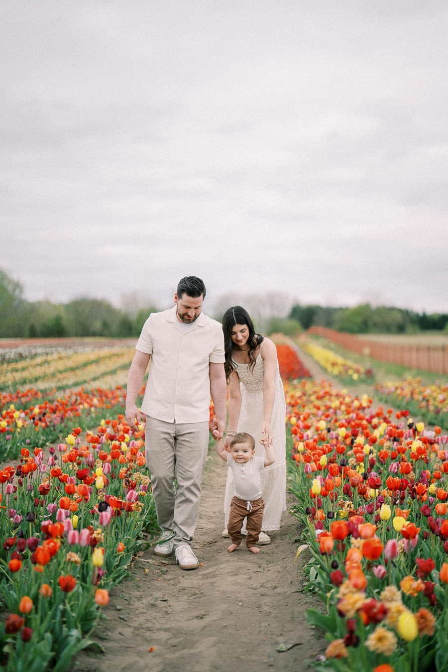 A family enjoys a stroll through a vibrant tulip field, surrounded by rows of colorful flowers.