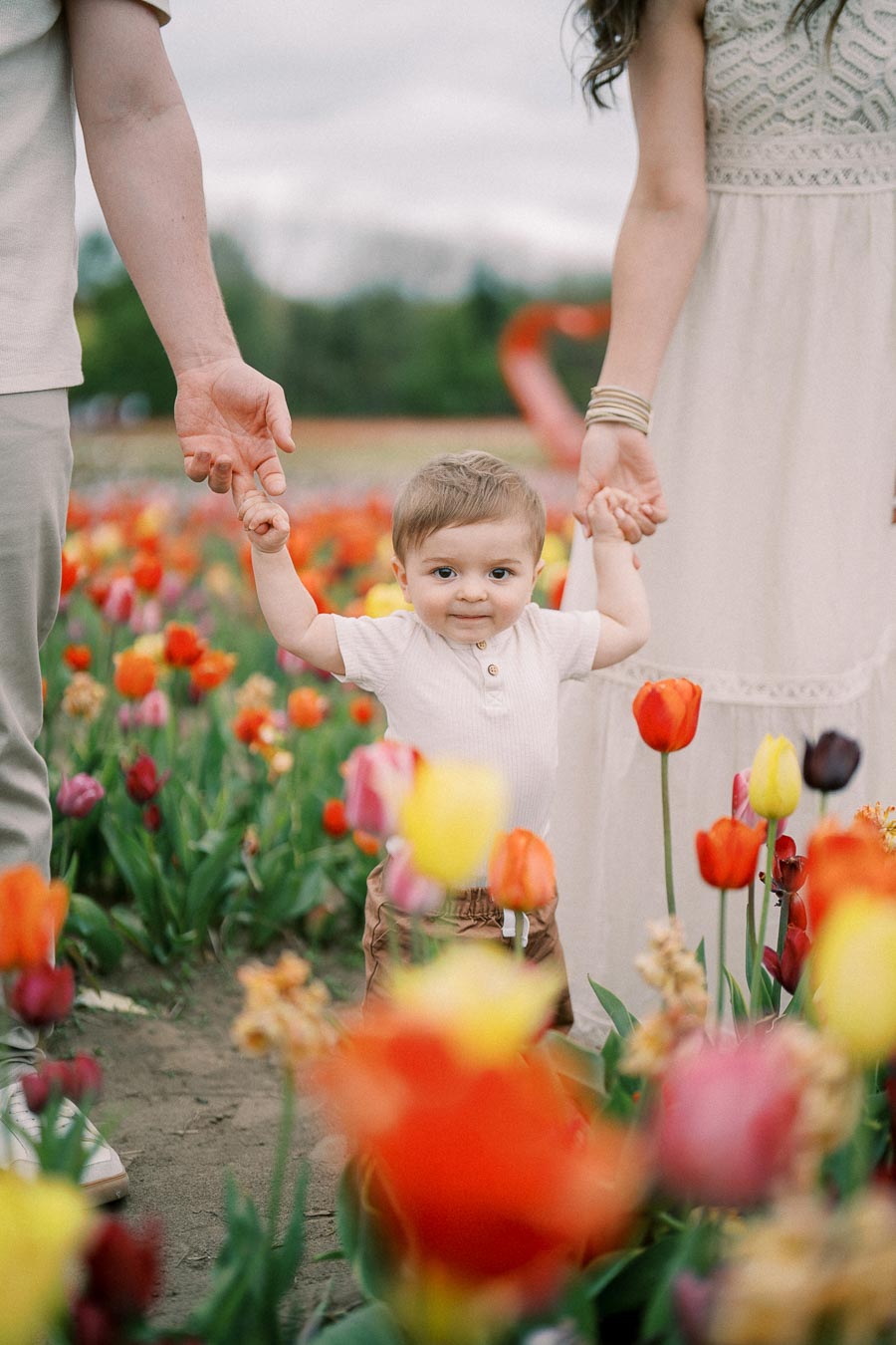 A child joyfully holds hands with two adults while standing in a vibrant tulip field, surrounded by colorful flowers.