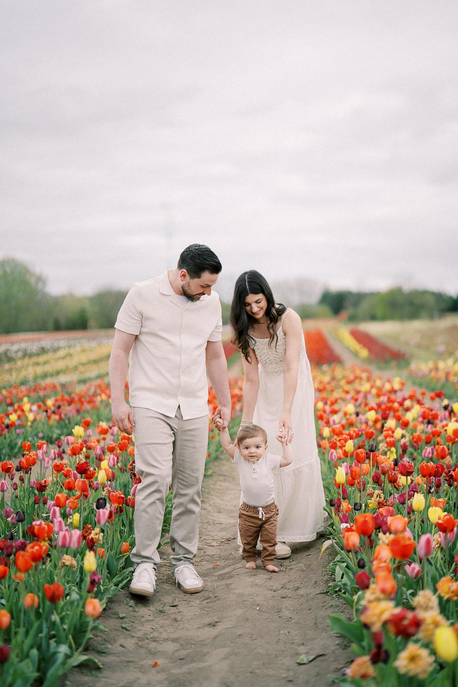 A family strolls through a vibrant tulip field, with the parents holding their child's hands.
